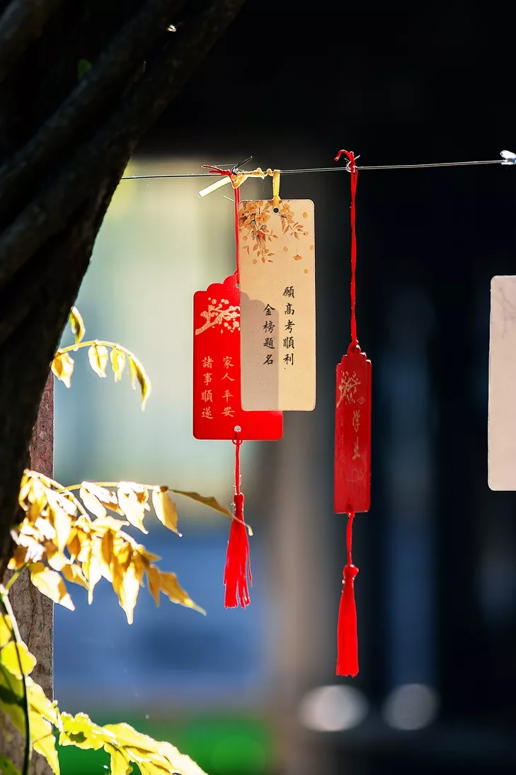 IMG_6762-已增强-NR-1.jpg