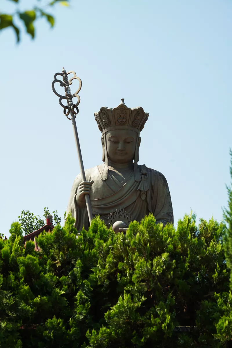 DSC07098.jpg.png